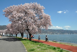 諏訪湖畔サイクリングロード