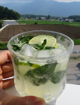 ノンアルソルティーモヒート