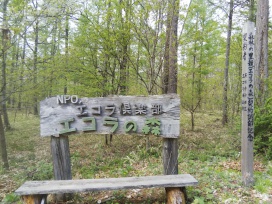 エコラの森 入口