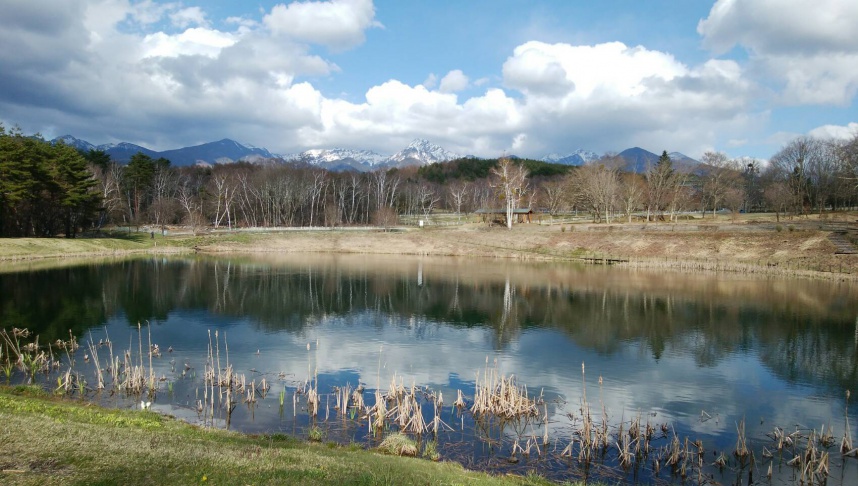 水鏡そのもの。