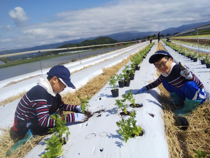 夢中で植える兄弟。
