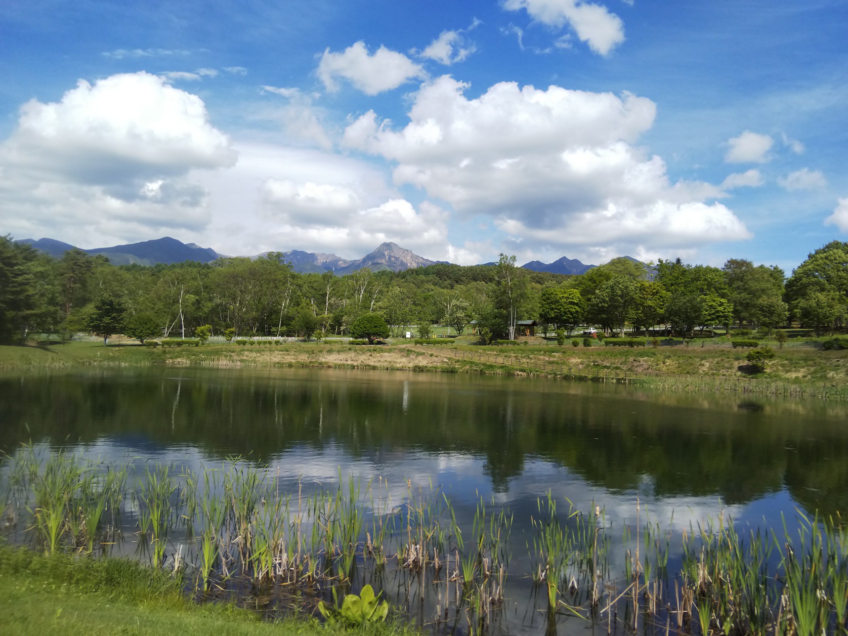 まるやち湖 初夏 Photo Gallery 原村ブログ 原村移住推進ポータルサイト