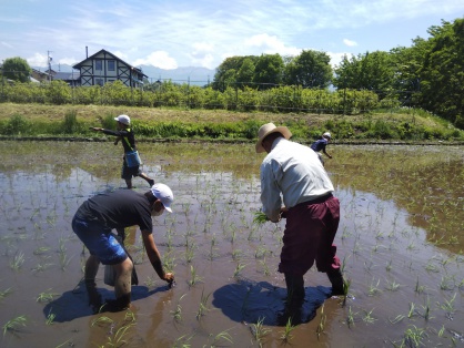 田んぼの先生