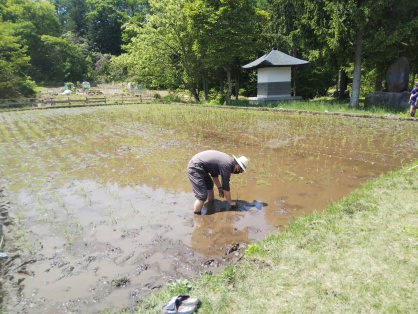 とあるクラスの先生。(注)カールおじさんではありません